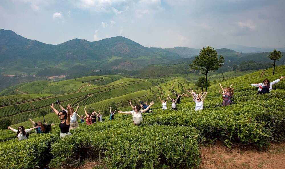 Tea plucking Munnar